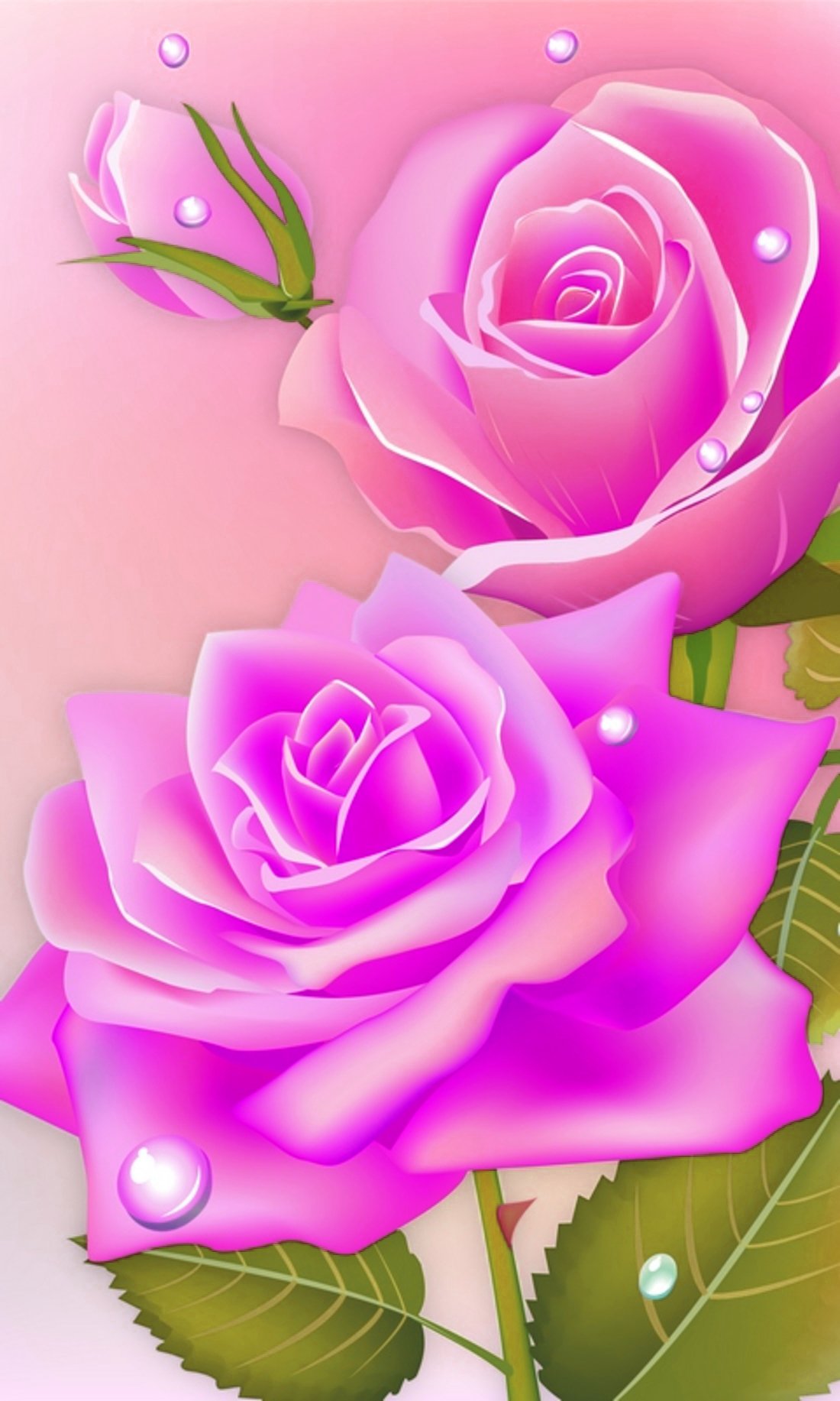 Розы в каплях дождя