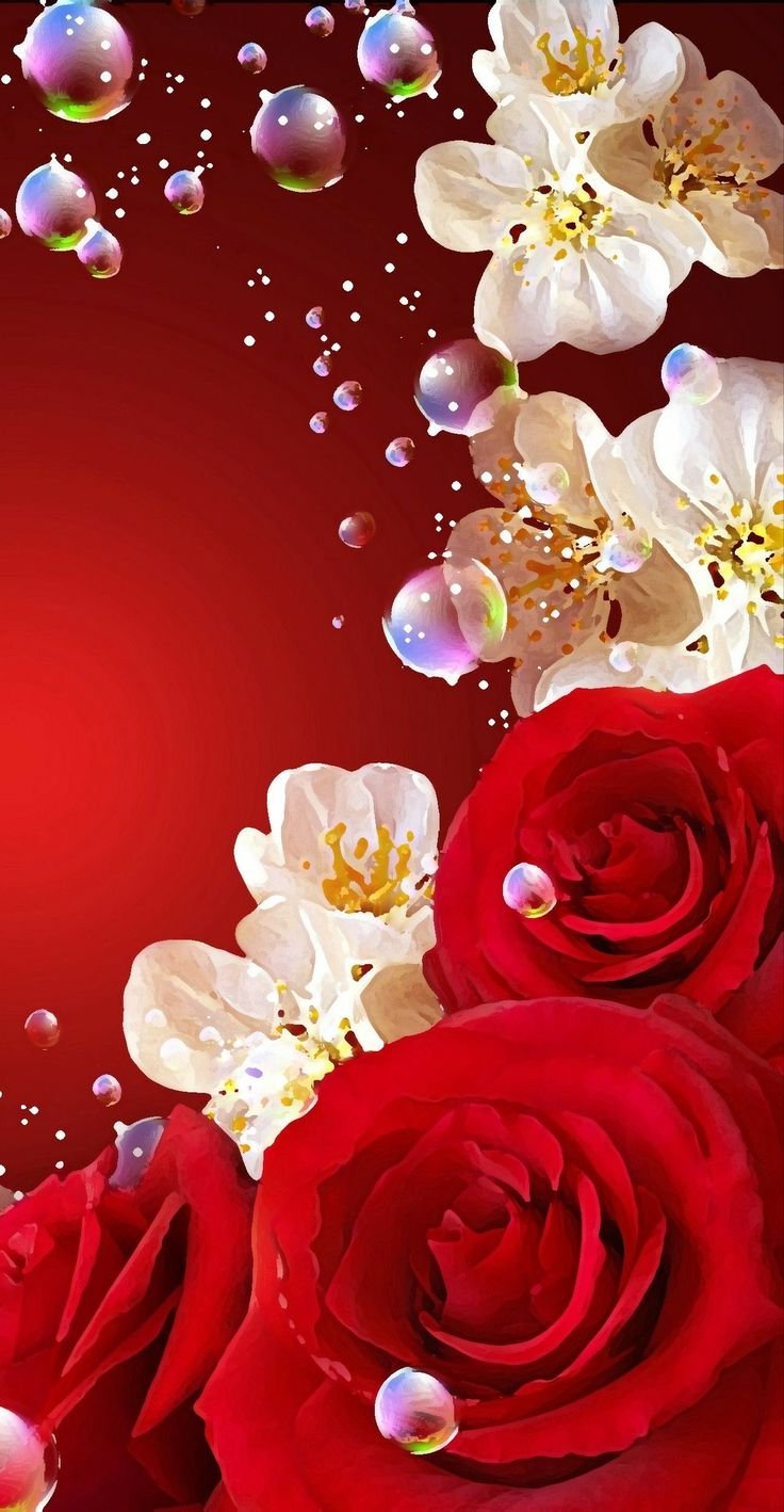 Садовые розы