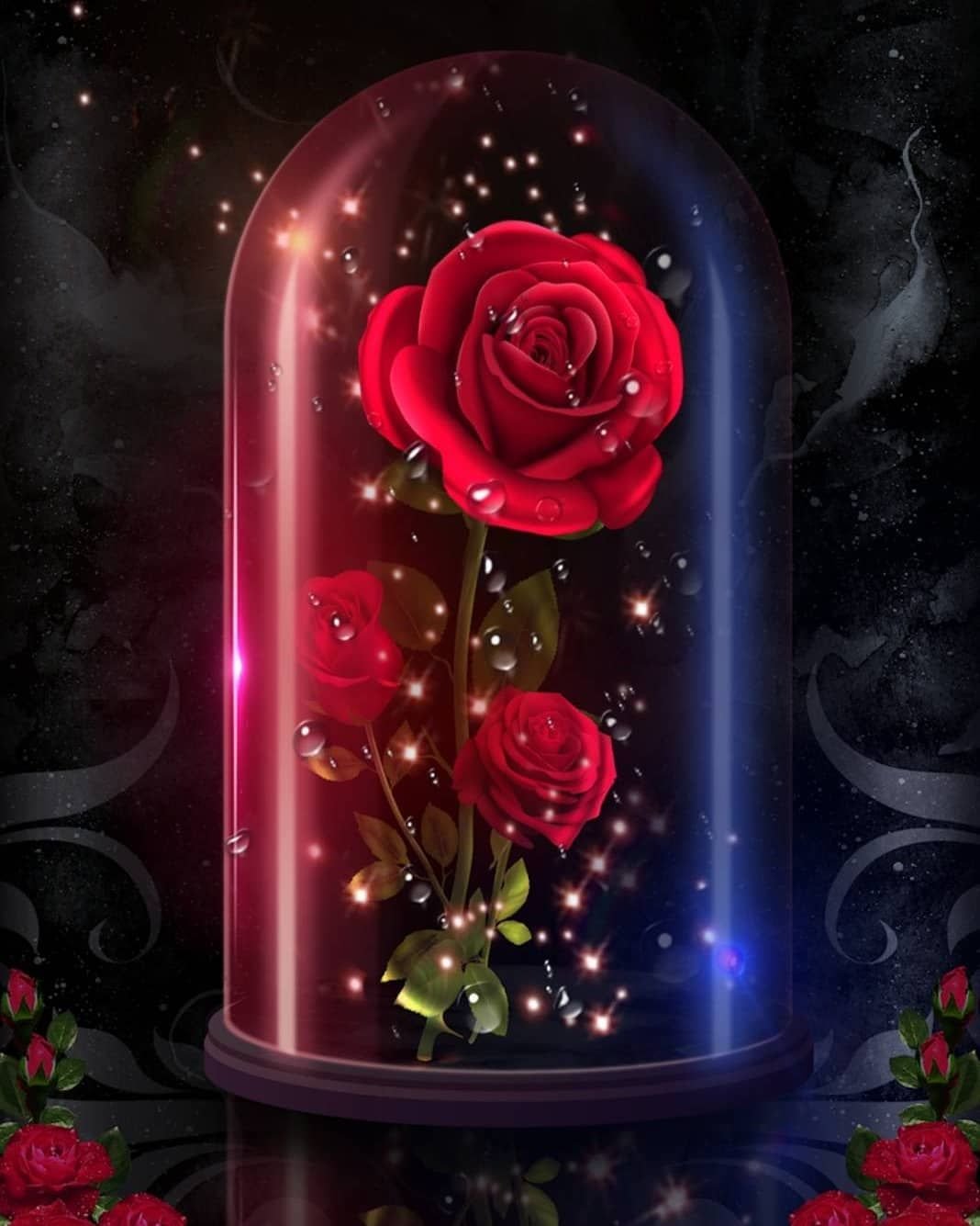 Розы вертикальные