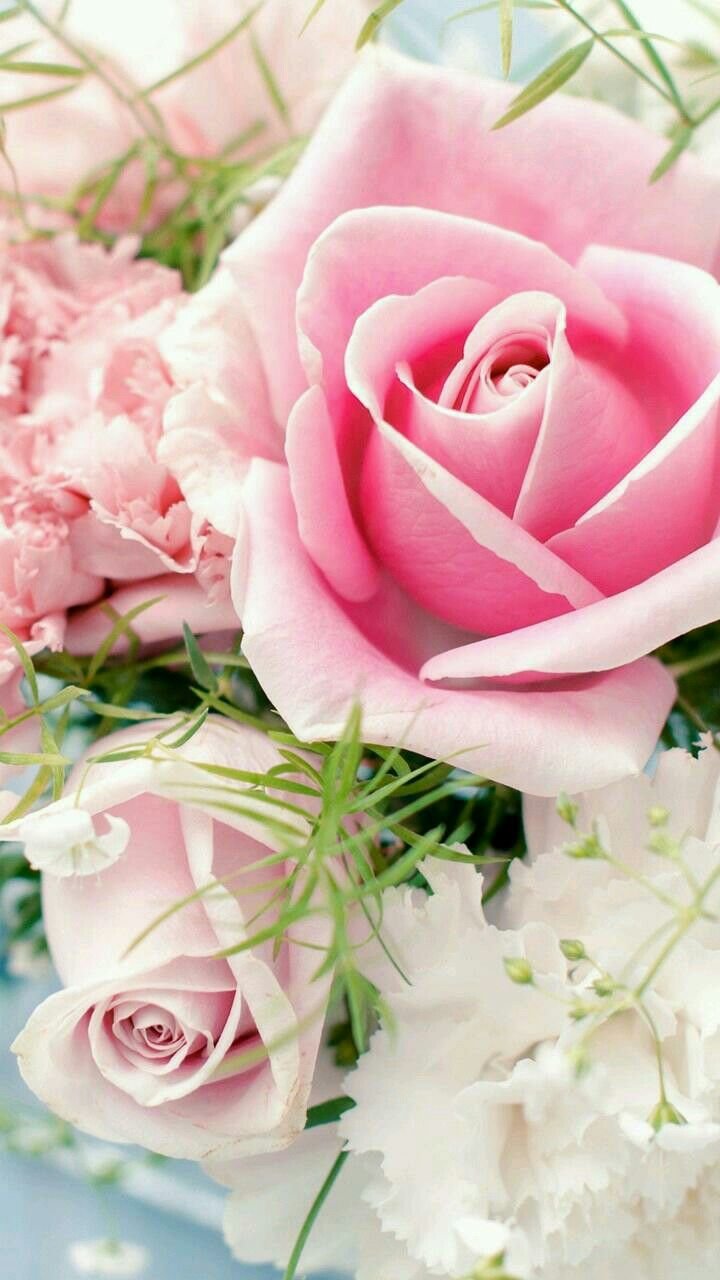 Красивые гифки на телефон