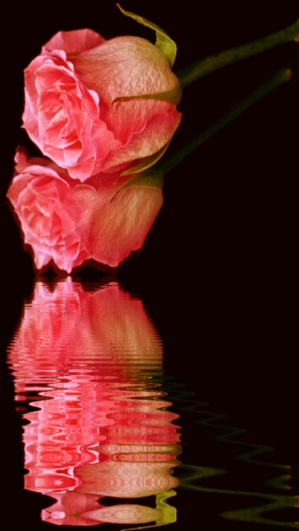 Анимационные цветы