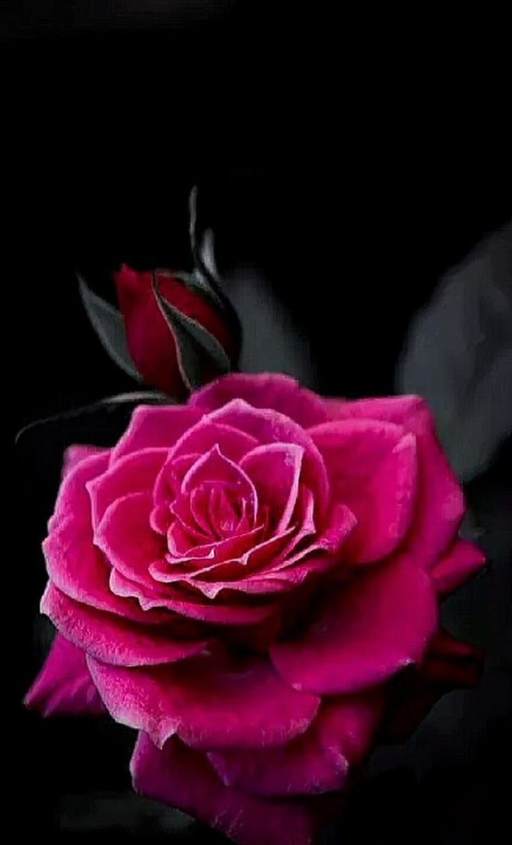 На телефон анимации