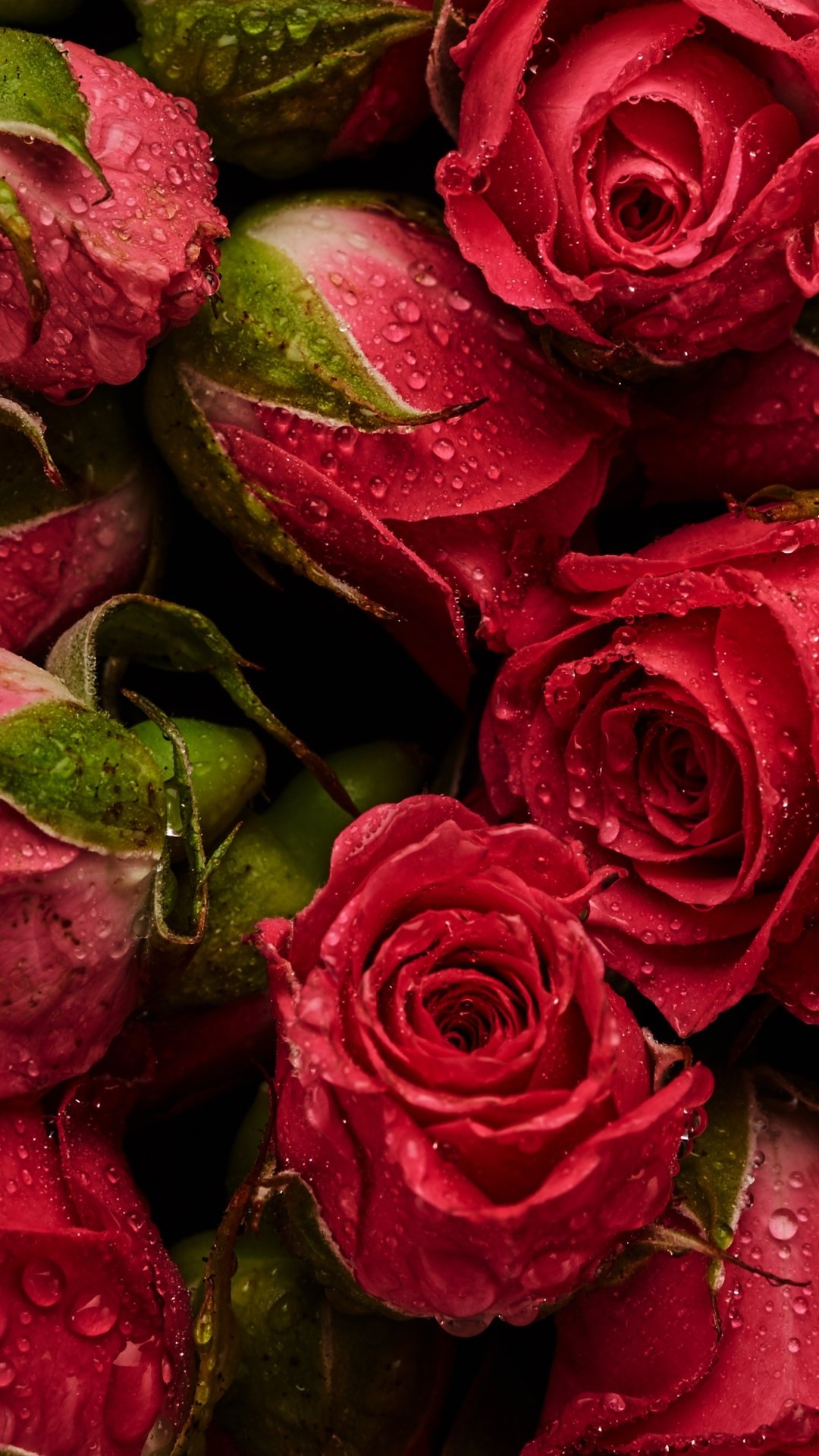 Красные цветы вертикальные