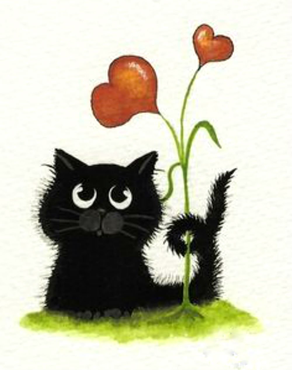 Черный кот на белом фоне