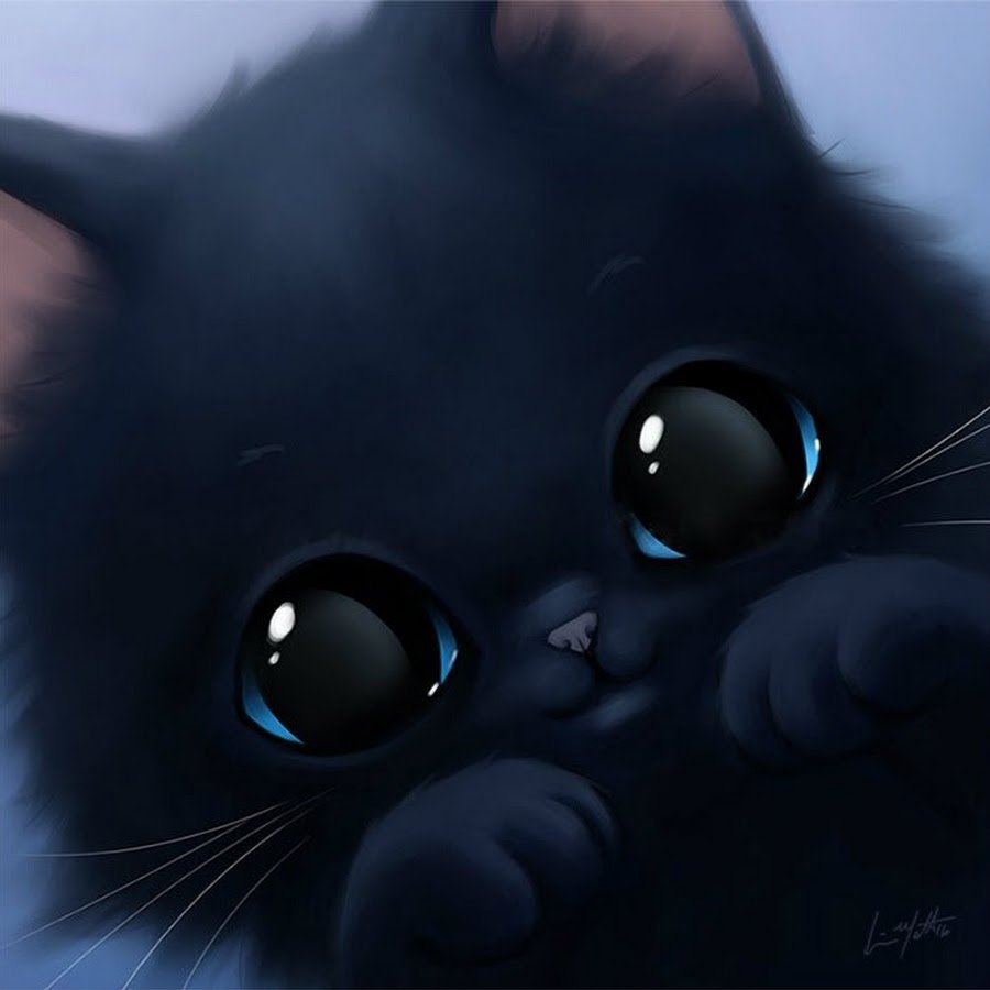 Черный кот Хэллоуин