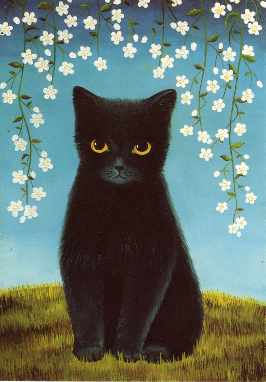 Черный котенок