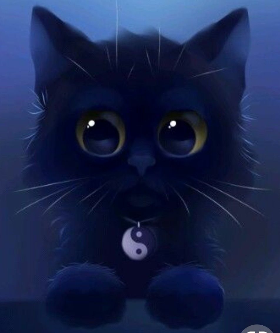 Котята черно серого оттенка