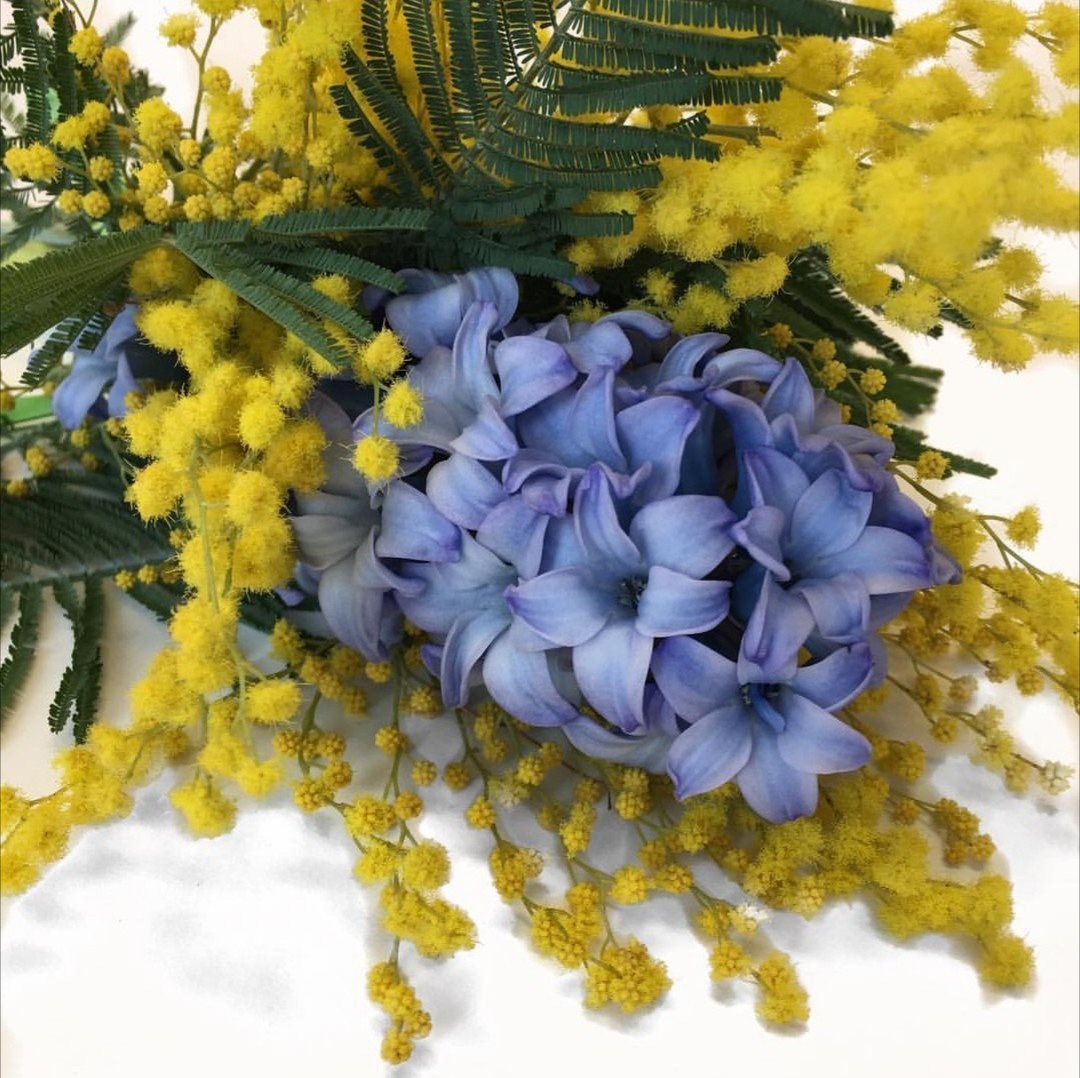 Жасмин, фрезия, Мимоза