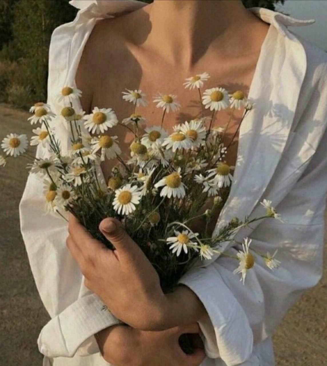 Чистая Эстетика