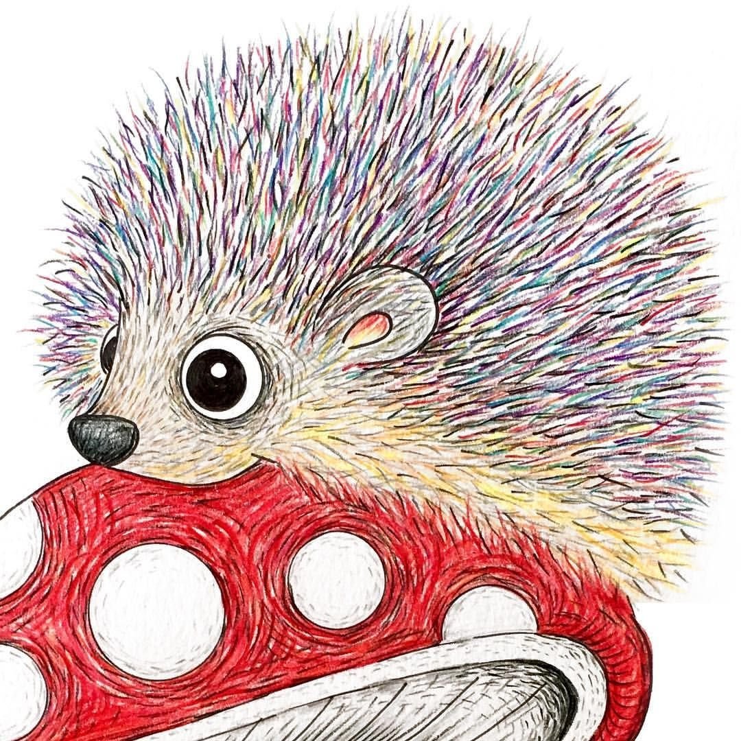 Ежик рисунок