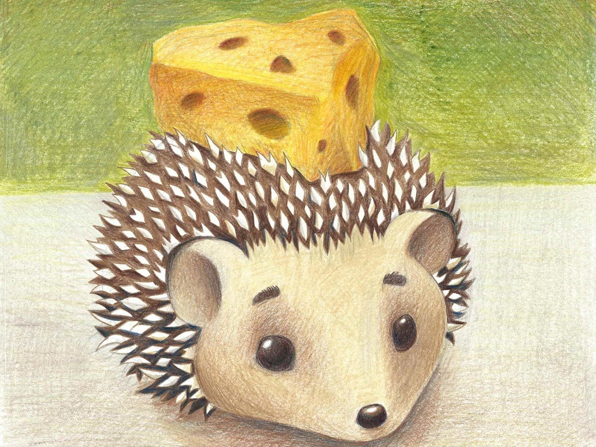 Красивый Ежик рисунок