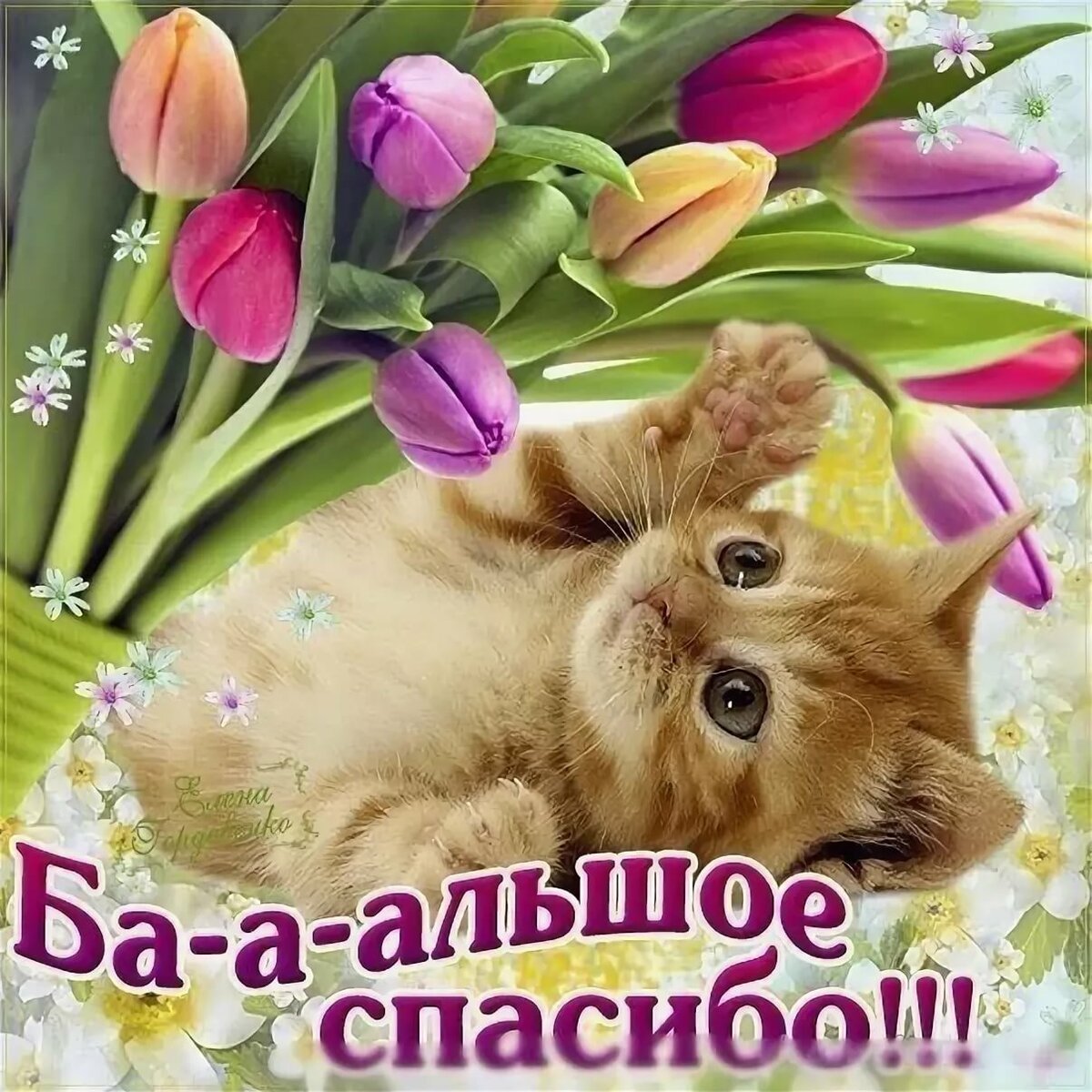 Спасибо большое