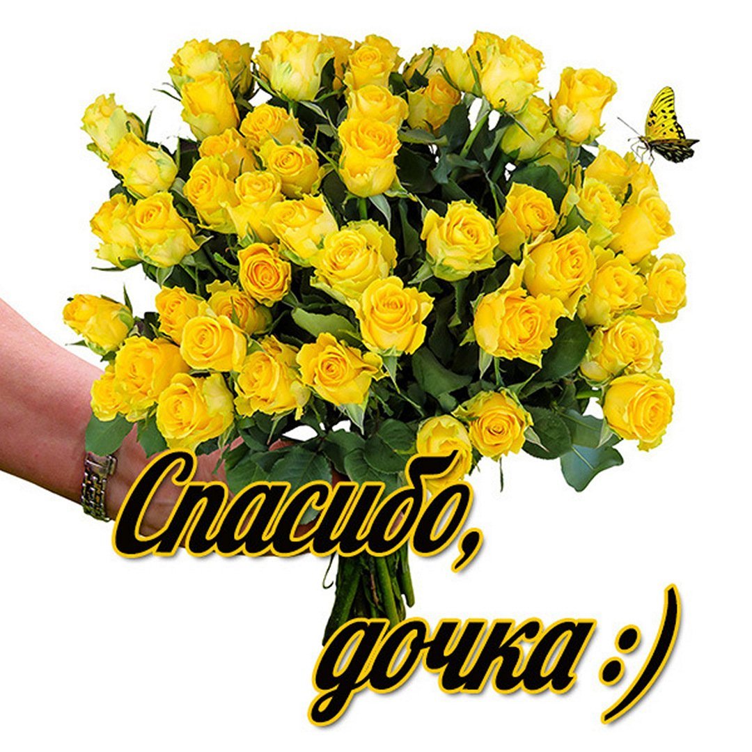 Спасибо дочь за поздравления