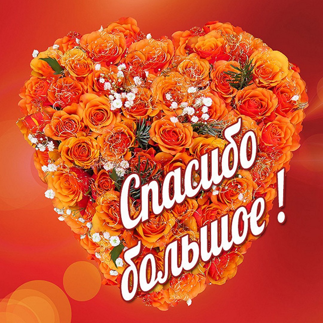 Спасибо моя дорогая