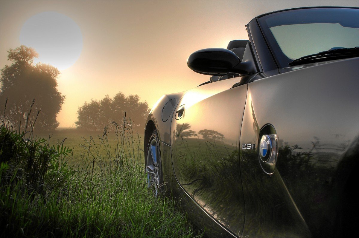 Утро в машине