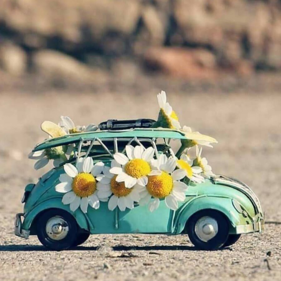 Машина в цветах