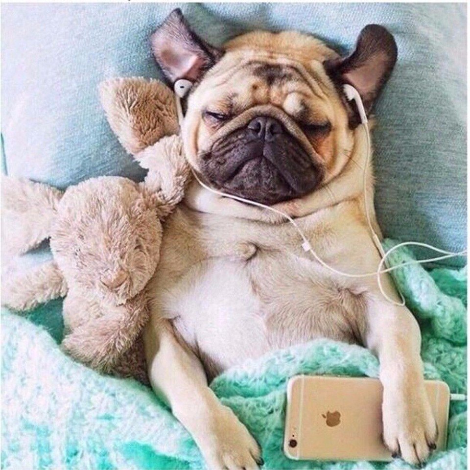 Наконец то выходные