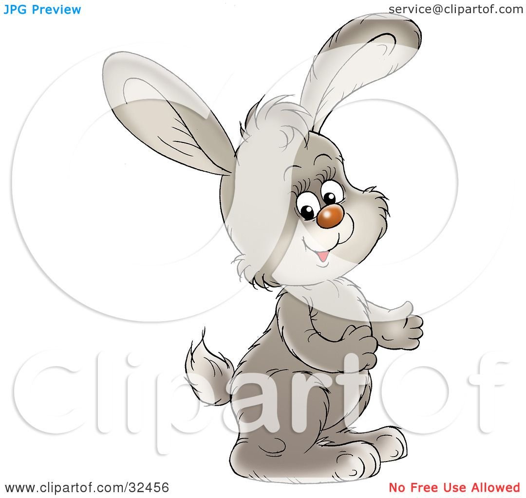 Банни рэббит