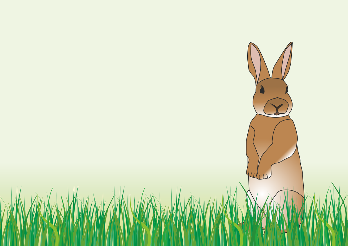 Зайчик в полный рост