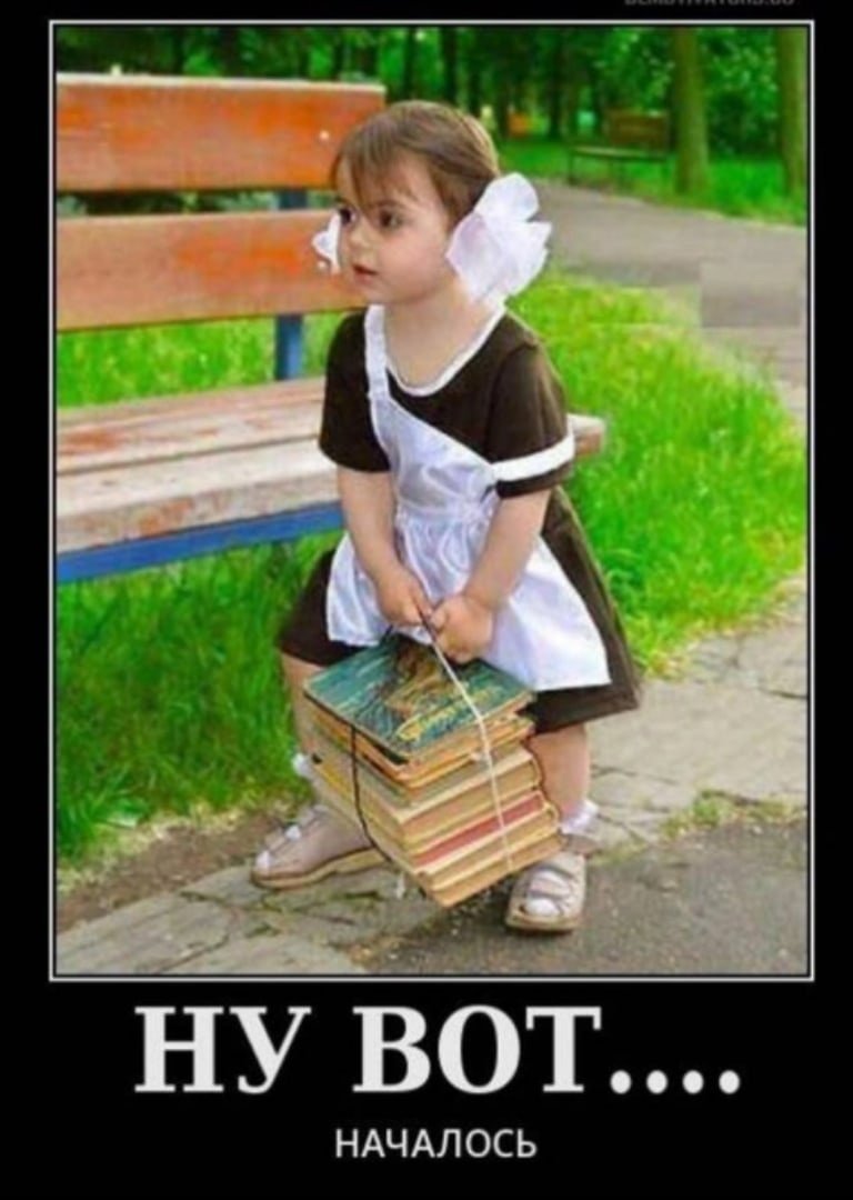 С днем знаний юмор