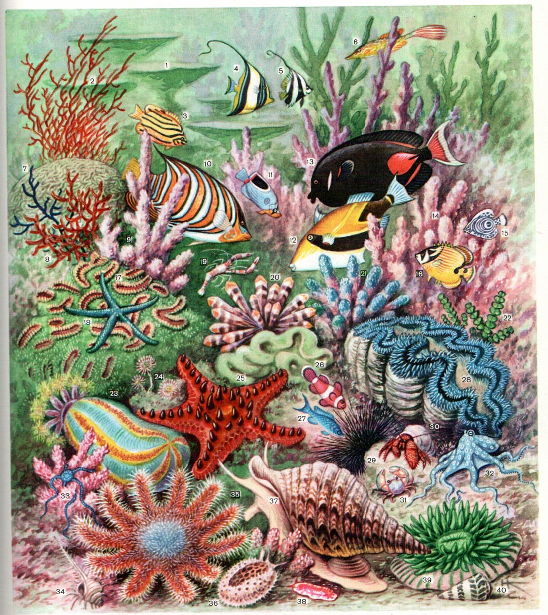 Аппликация на тему подводный мир