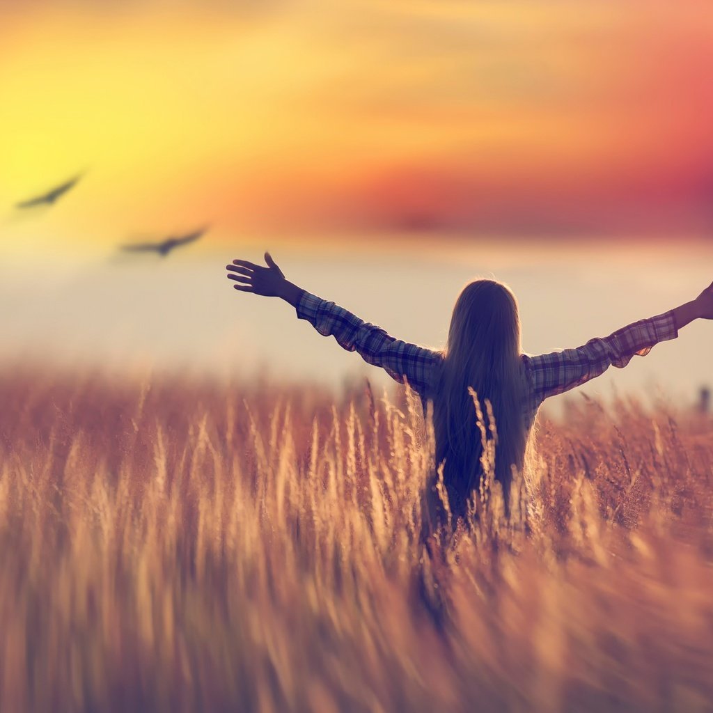 Птицы улетают