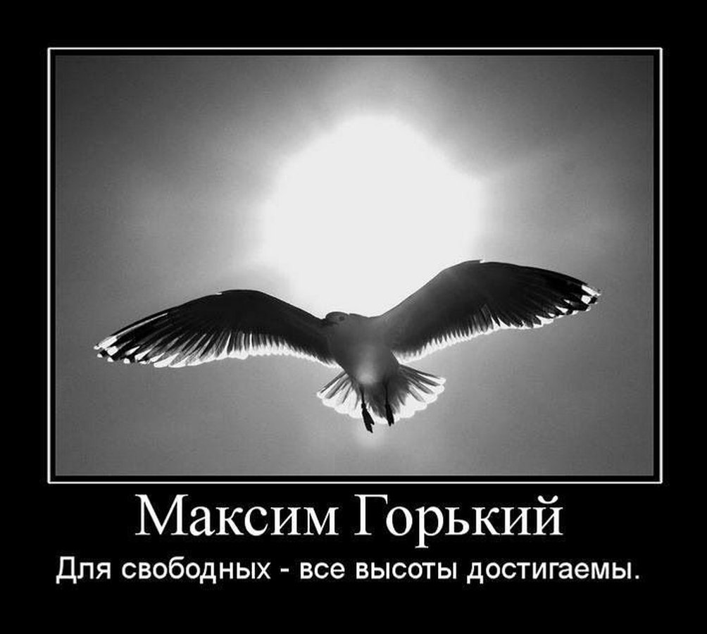 Свобода цитаты