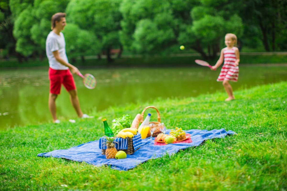 Пикник в лесу рисунок