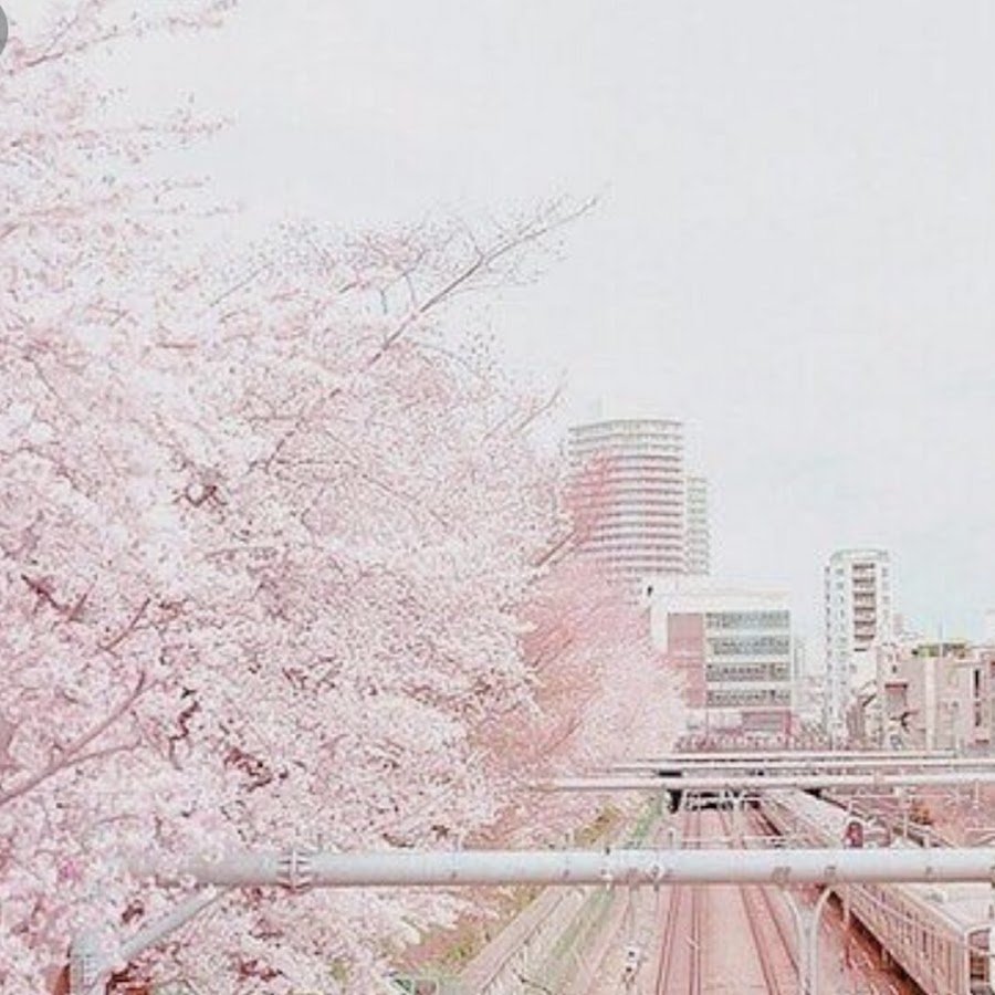 Розовая Эстетика Япония