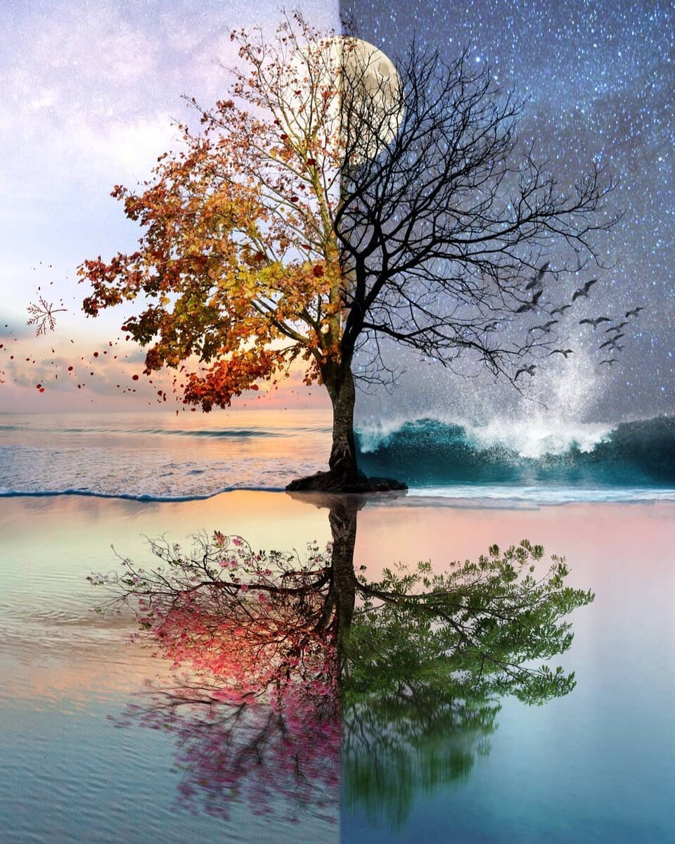 Фон времена года