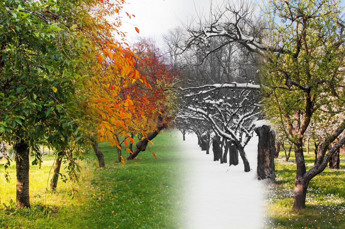 Пейзаж в четырёх времени года