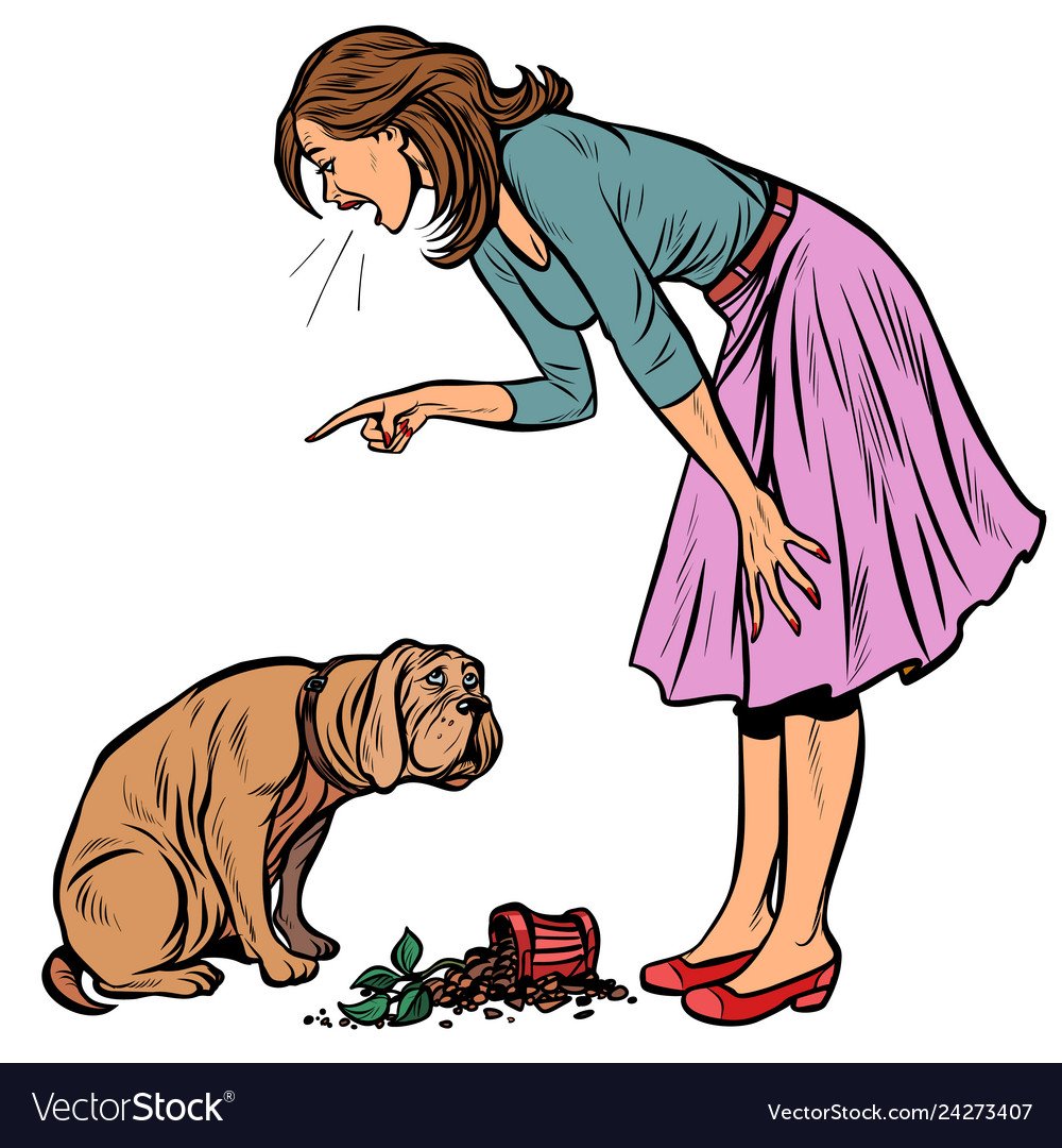 Женщина ругает собаку