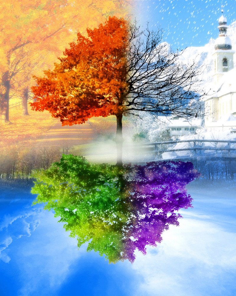 Времена года