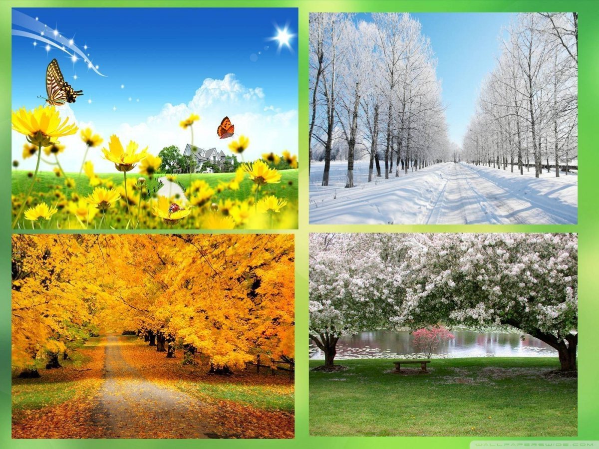 Круг зима Весна лето осень