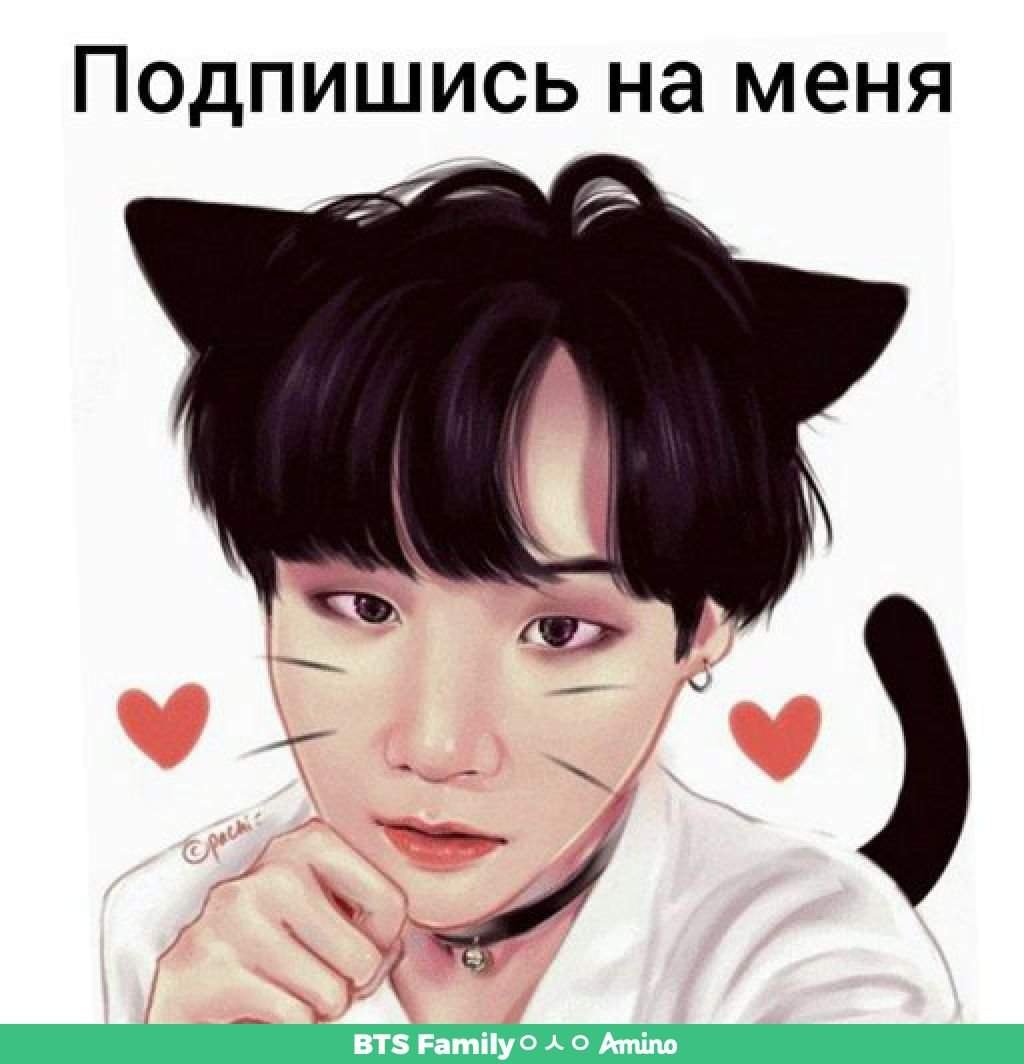 BTS Чимин котик