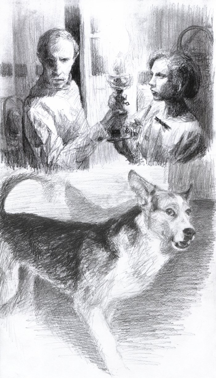 Булгаков белая книга Собачье сердце