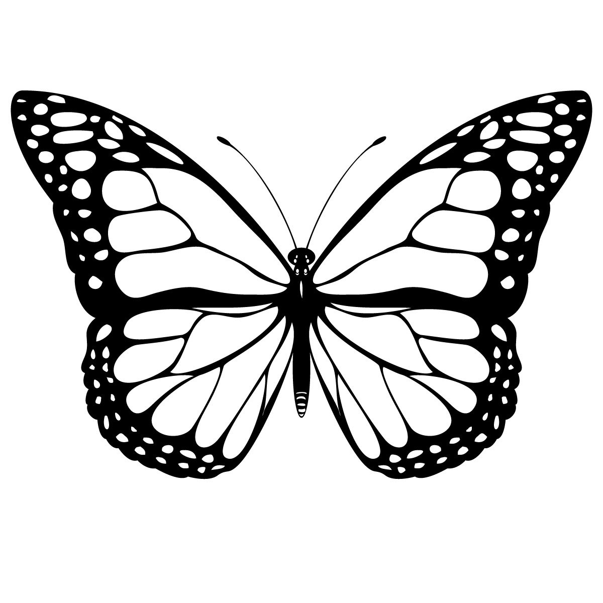 Шаблон бабочки