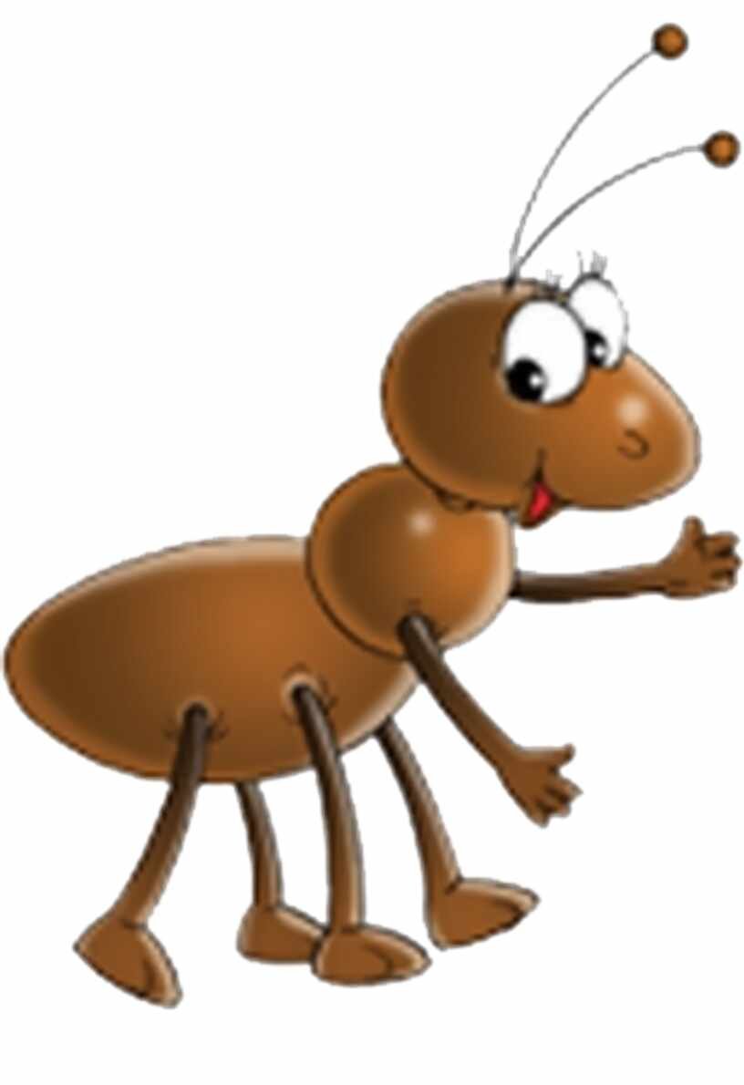 Муравей для детей