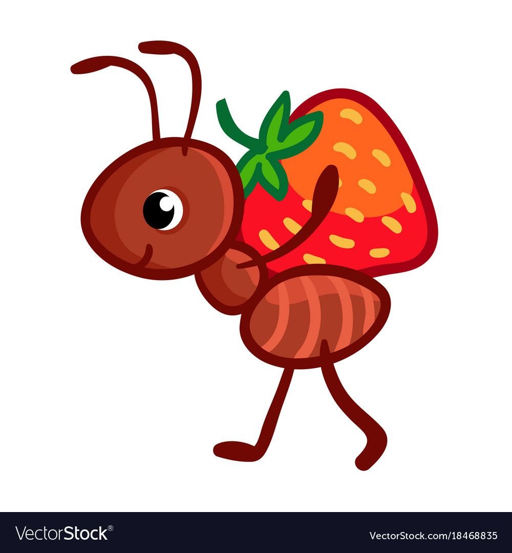 Муравьи на клубнике