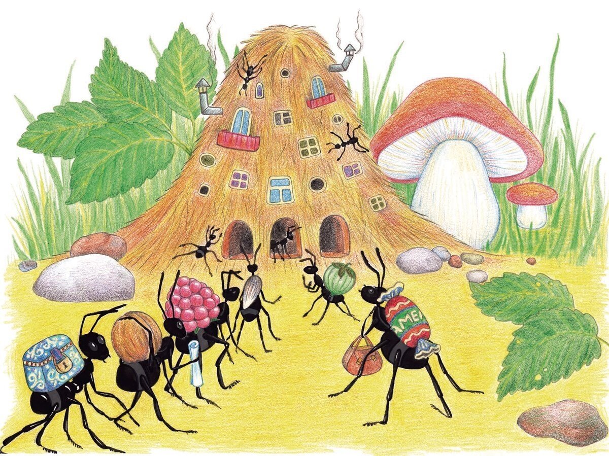 Строение муравейника для детей