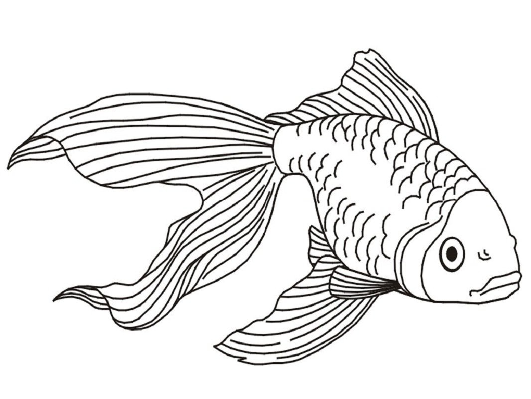 Рыба раскраска