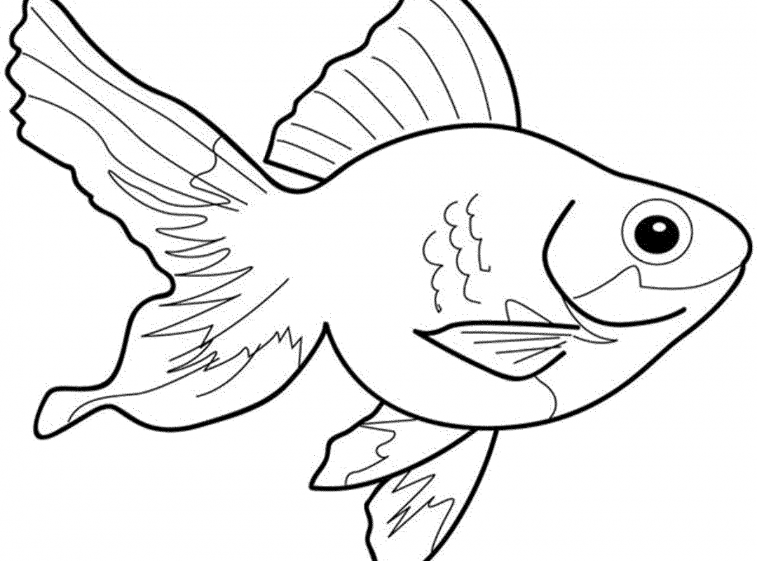 Раскраска рыбка