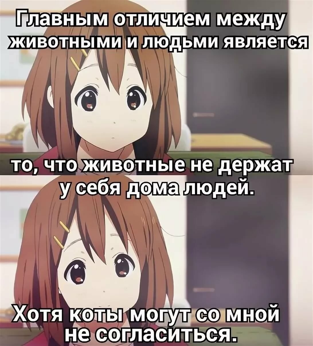 Аниме шутки