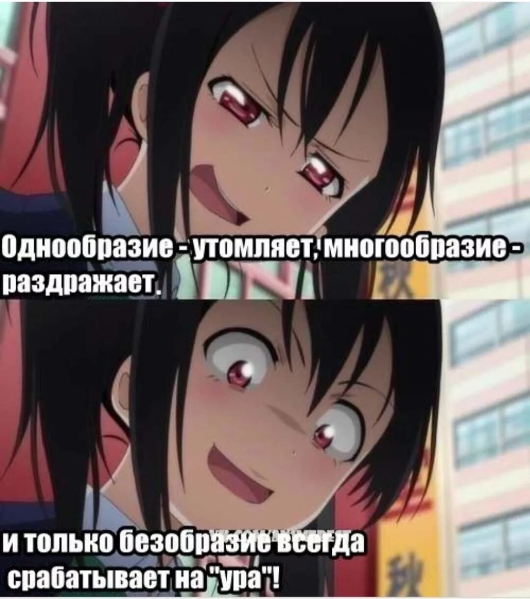 Приколы из аниме