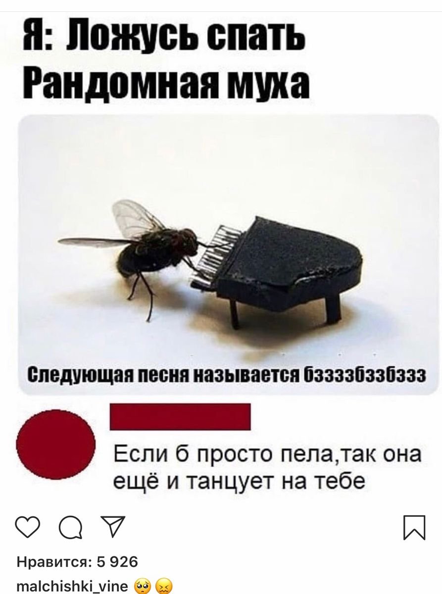 Муха вертолет