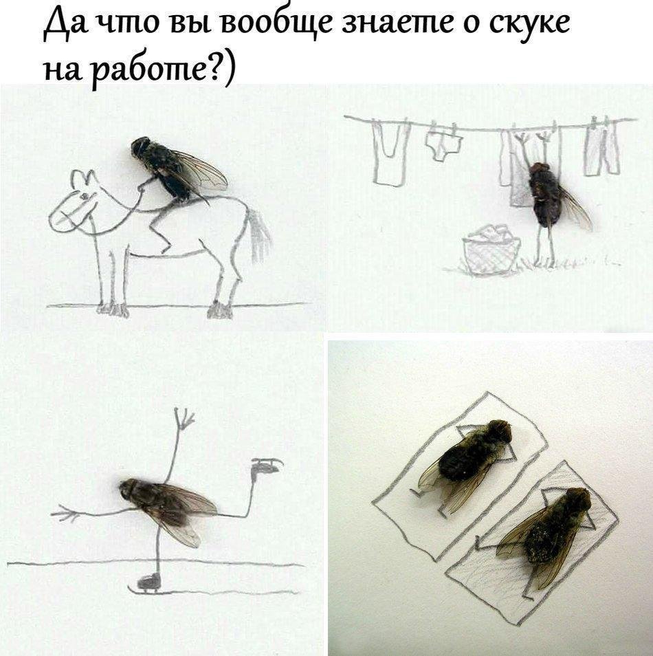Грустная Муха