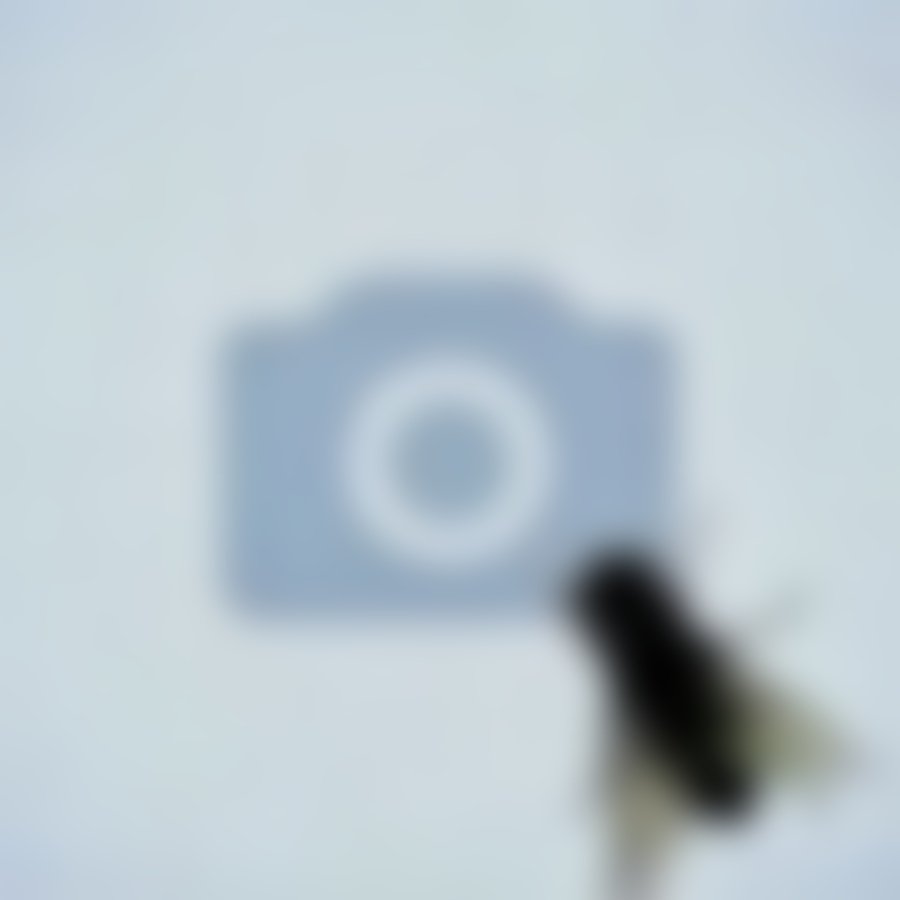 Муха потирает лапы