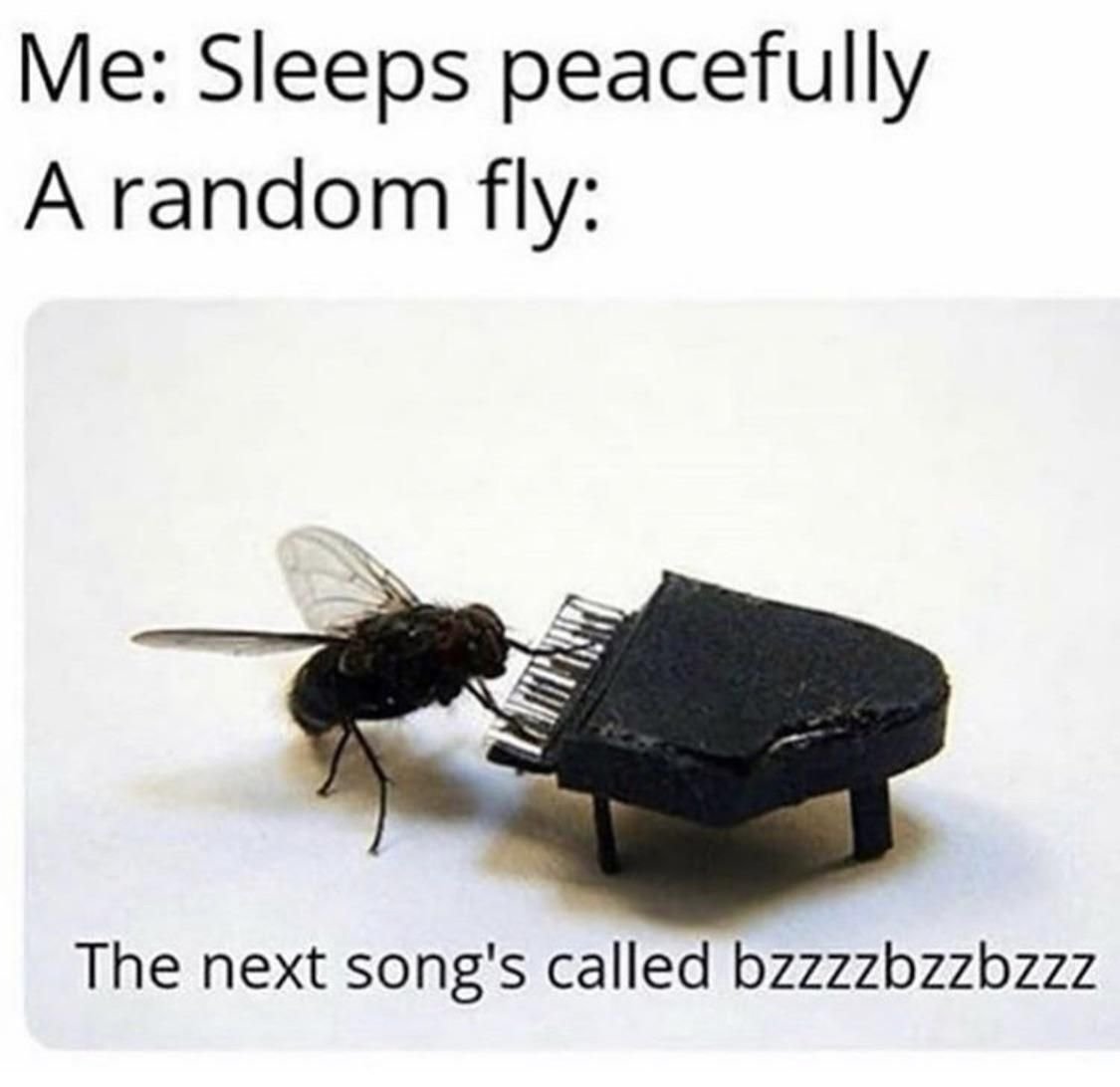 Magnus Muhr и его мухи.