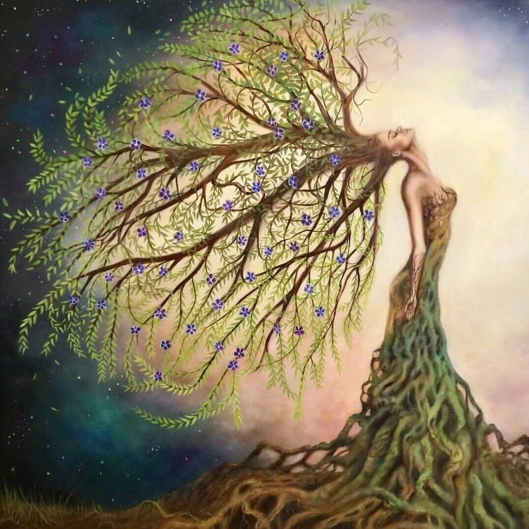 Образ дерева