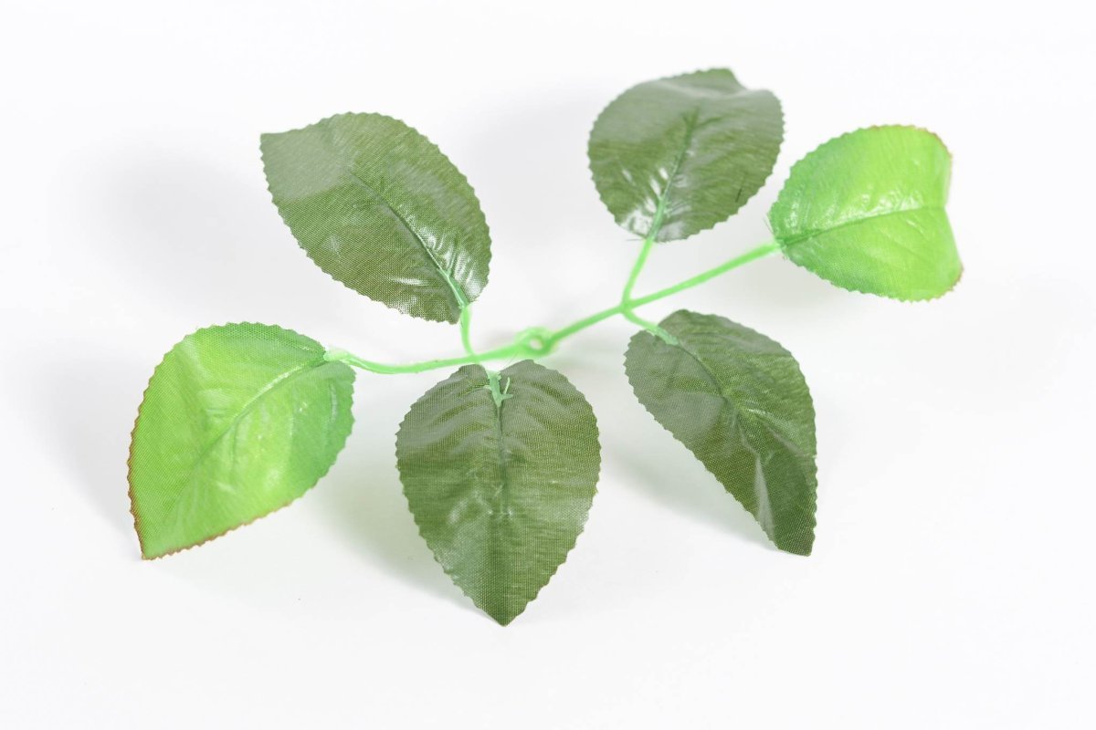 Листья розы